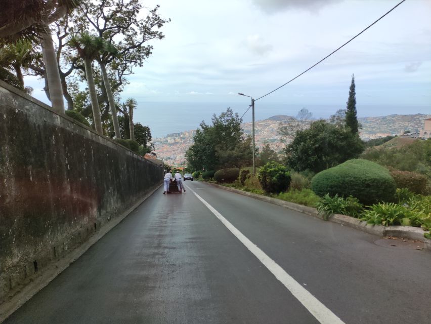Funchal: Monte Toboggan and Old Town Tour by Tuk-Tuk - The ride to Monte at 585 meters