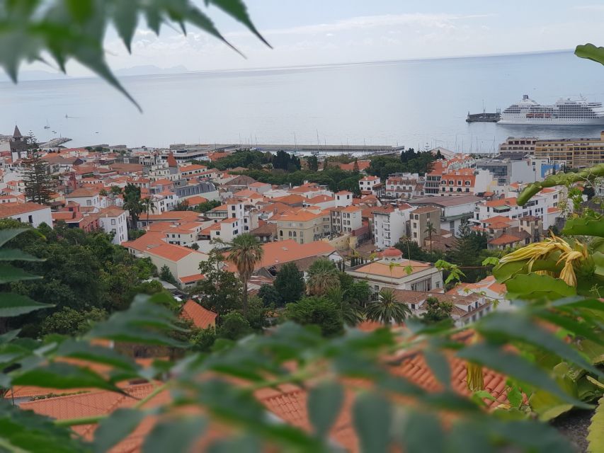 Funchal: Monte Toboggan and Old Town Tour by Tuk-Tuk - The Monte Church and the setting at the top