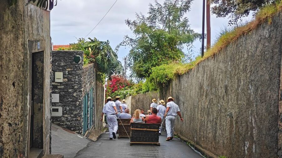 Funchal: Monte Toboggan and Old Town Tour by Tuk-Tuk - What the Monte basket ride is really like