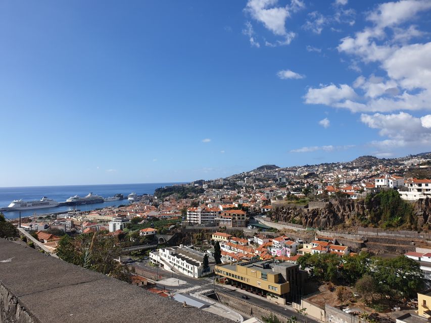 Funchal: Monte Toboggan and Old Town Tour by Tuk-Tuk - Who should book this tuk-tuk experience