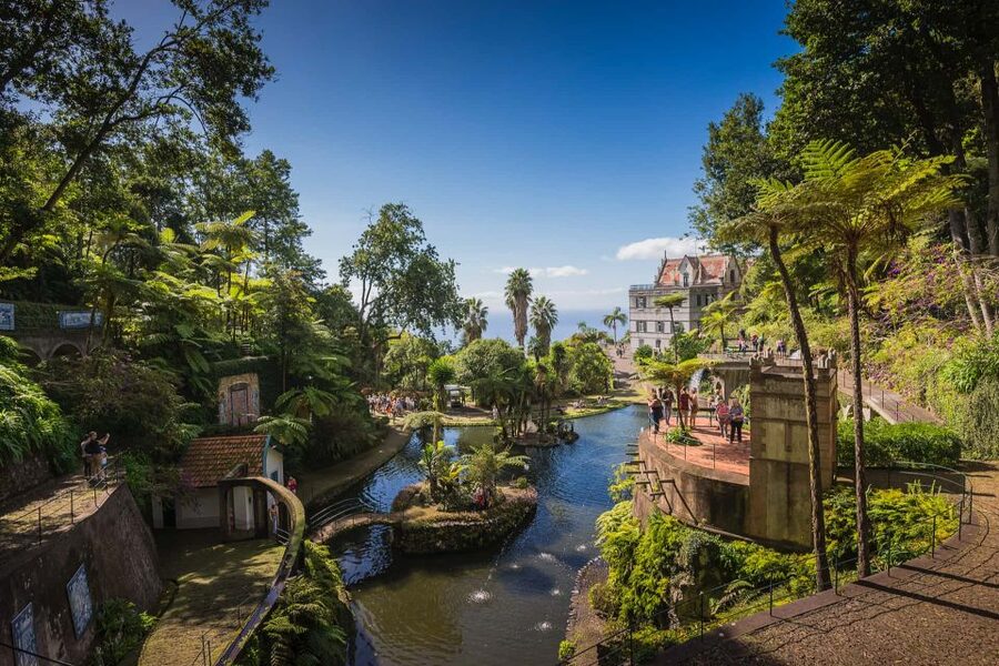 Funchal: Monte Tropical Garden & Toboggan Ride by Tuk Tuk - The return through Funchal and the value of local guidance