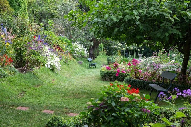 Funchal Old Town & Palheiro Gardens Private Tuk Tuk Tour - The uphill ride to Palheiro Gardens