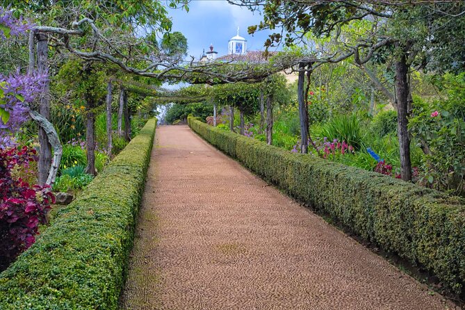 Funchal Old Town & Palheiro Gardens Private Tuk Tuk Tour - Who will enjoy this two-hour outing most