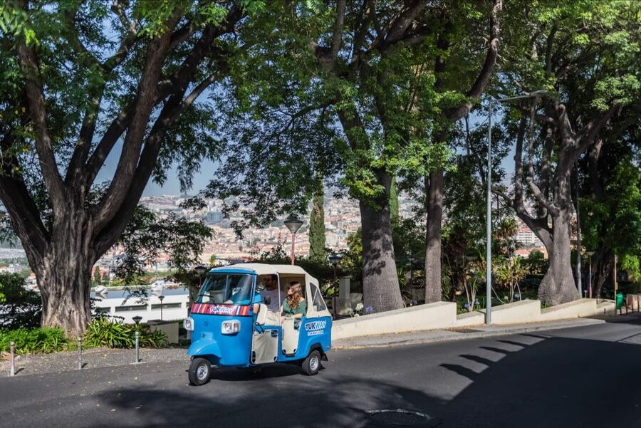 Funchal: Private Customizable Guided Tour by Tuk-Tuk - Why a private tuk-tuk works well in Funchal