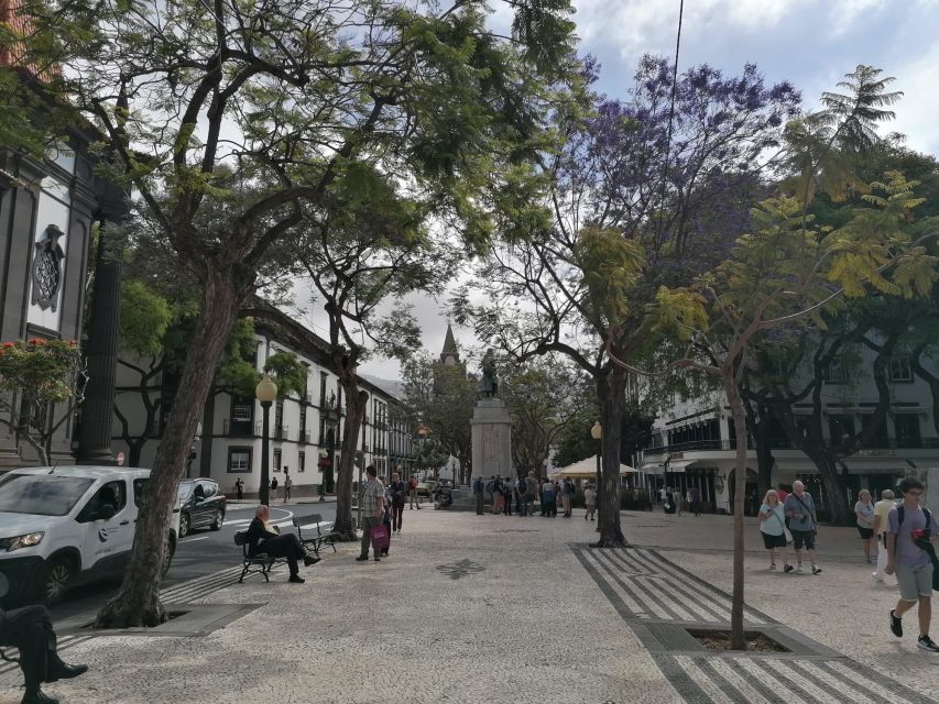 Funchal: Private Guided Tour of Historic Center by Tuk Tuk - Who should book this one-hour ride?