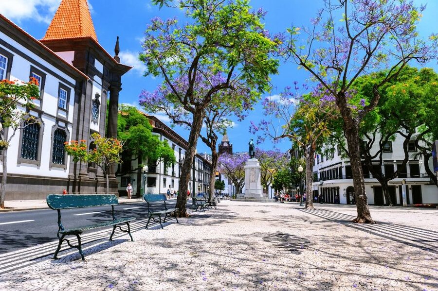 Funchal: Private Guided Tour of Historic Center by Tuk Tuk - Photo stops and panoramic views