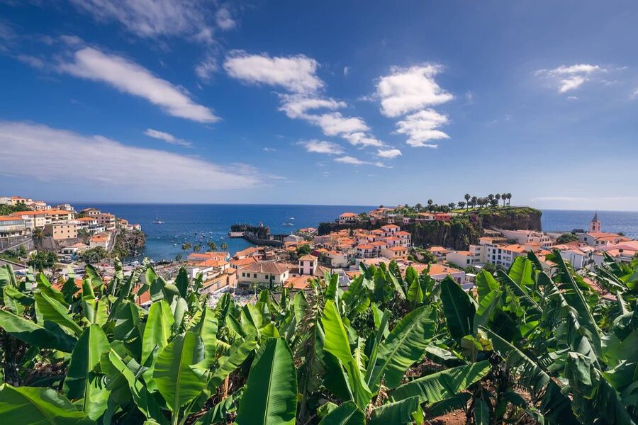 Funchal: Private Tuk-Tuk Tour to Cabo Girão Cliff - Skywalk - Who should book this experience