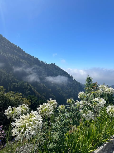Funchal: Valley of the Nun’s tour by tuk tuk - Eira Do Serrado At 1,094 Metres