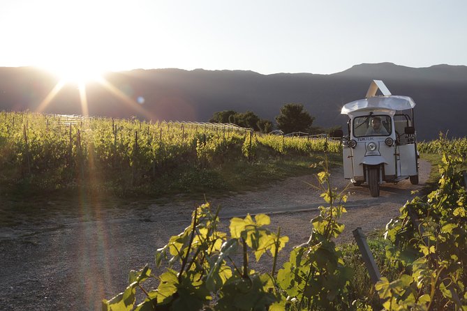 Geneva Panoramic & Tasting Vineyards Tour in an Tuk Tuk - Five things to know before you book