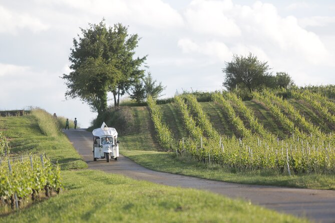 Geneva Panoramic & Tasting Vineyards Tour in an Tuk Tuk - Who will enjoy this Geneva outing?