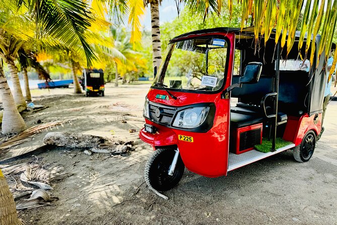 Grenada Tuk Tuk Adventure - A Breezy Way to Get Your Bearings in Grenada