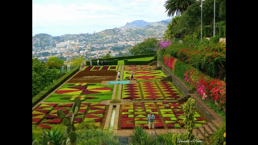 Guided Tuk-Tuk Tour to Botanical Garden (From Funchal) - Key points to know before you book
