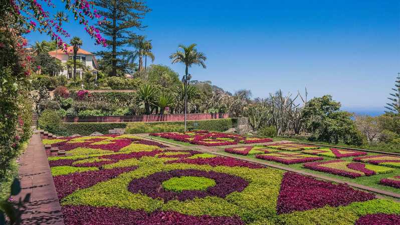 Guided Tuk-Tuk Tour to Botanical Garden (From Funchal) - Funchal to the Botanical Garden by tuk-tuk
