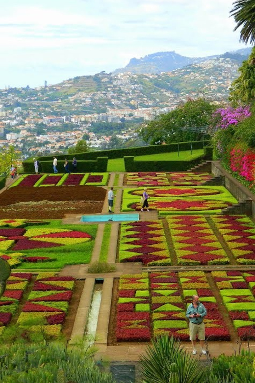 Guided Tuk-Tuk Tour to Botanical Garden (From Funchal) - Reaching Quinta do Bom Sucesso