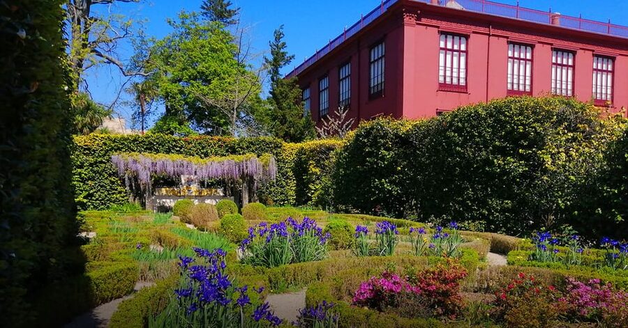 Guided Tuk-Tuk Tour to Botanical Garden (From Funchal) - Is $74 good value for two people?