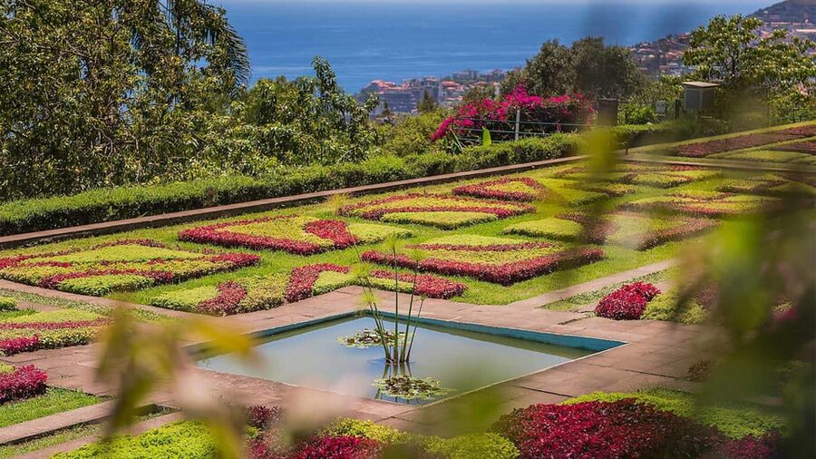 Guided Tuk-Tuk Tour to Botanical Garden (From Funchal) - Should you book the Funchal tuk-tuk ride?