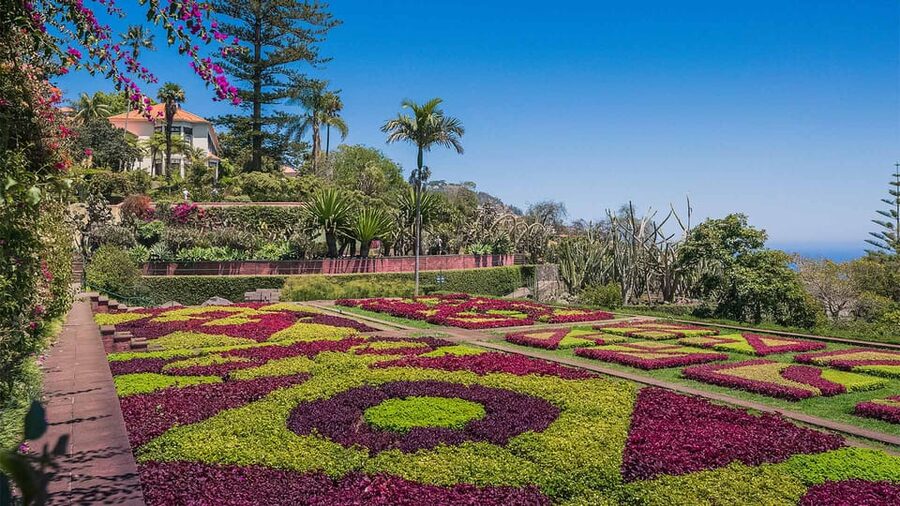 Guided Tuk-Tuk Tour to Botanical Garden (From Funchal) - What the tuk-tuk ride is really like