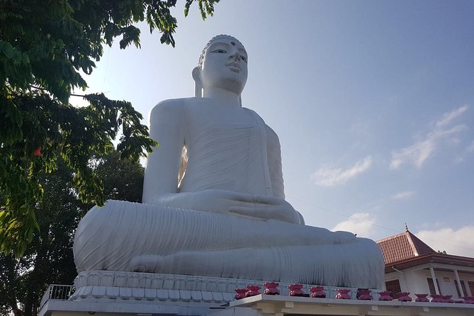 Half-Day Kandy City Tour by Tuk Tuk - Timing, price, and what you really pay