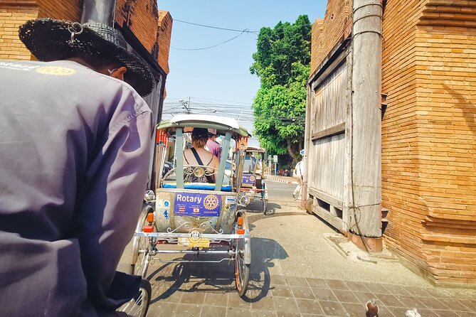 Half Day Private Chiang Mai Trishaw Ride and Mae Ping River Cruise - Wat Phra Singh at the End of the Route