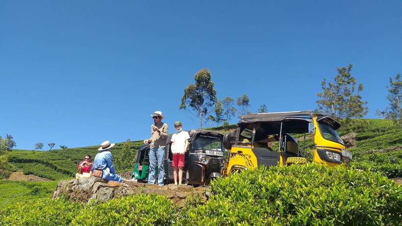 Haputale:Glorious Tuk Tuk Ride to Lipton'sSeat & Tea Factory - What the guides add to the day