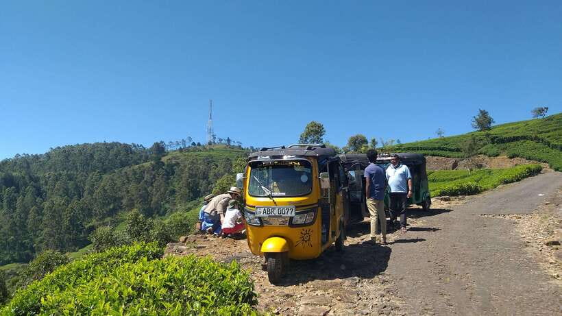 Haputale:Glorious Tuk Tuk Ride to Lipton'sSeat & Tea Factory - Who should book this experience?