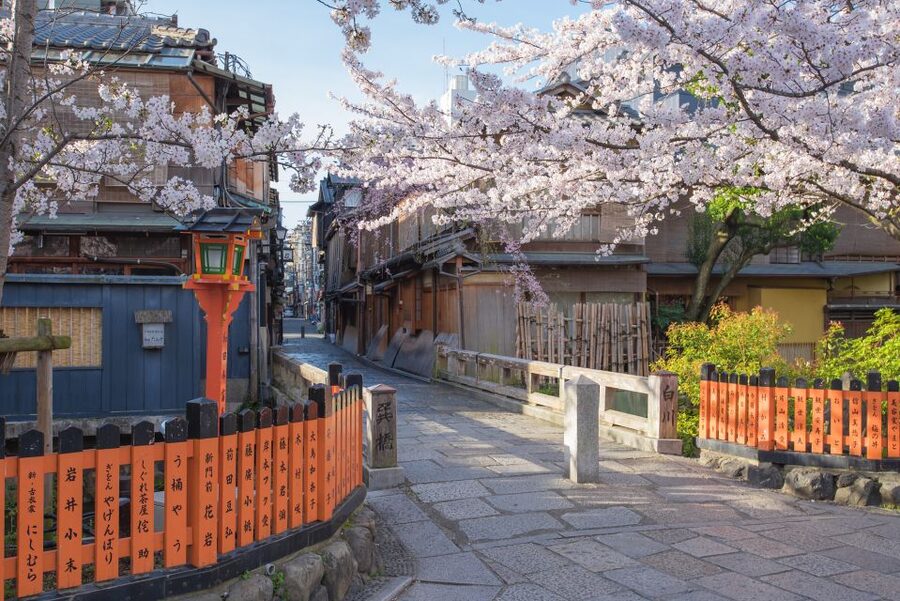 Higashiyama | Kyoto: Sakura Season Private Rickshaw Tour - From Wooden Townhouses to the Gion Geisha District