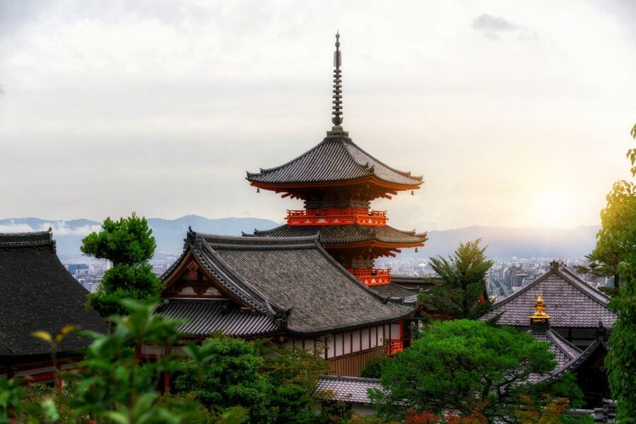 Higashiyama | Kyoto: Sakura Season Private Rickshaw Tour - Guide Quality and the Value of a Private Group
