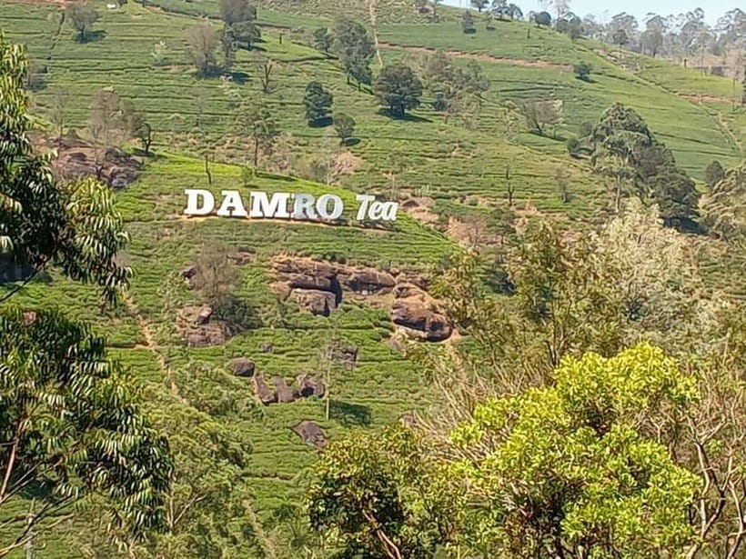 High-Grown Tea & Waterfall Wonders of Nuwara Eliya by tuktuk - Ramboda Falls, the main outdoor stop