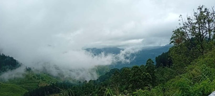 High-Grown Tea & Waterfall Wonders of Nuwara Eliya by tuktuk - Timing, comfort, and the question of pace