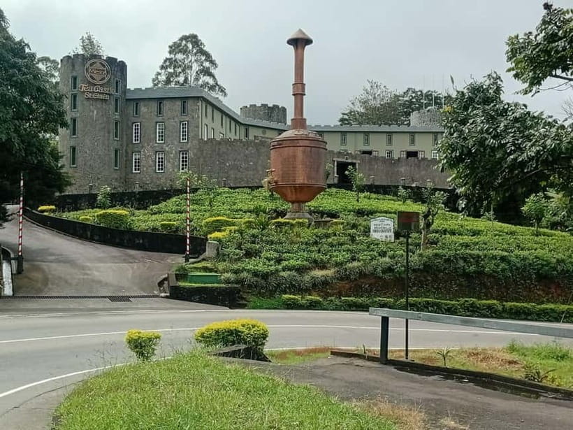 High-Grown Tea & Waterfall Wonders of Nuwara Eliya by tuktuk - Who should book this tour?
