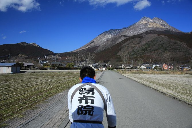 Hot Spring Capital of Yufuin Rickshaw Tour - Kozenin: a quiet Buddhist pause