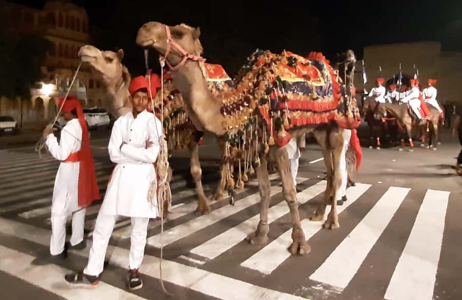 Jaipur: Night Tuk-Tuk Tour With Friendly Local Driver - Is $11 per person good value?