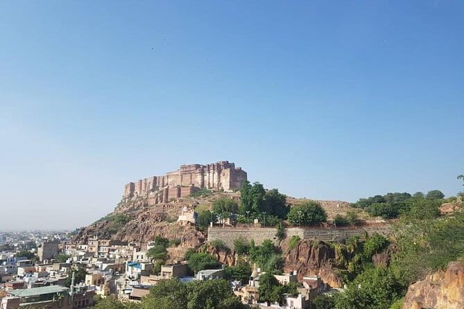 Jaipur Pink City Tour by Car or Tuk-Tuk - Jal Mahal is a quick lake view