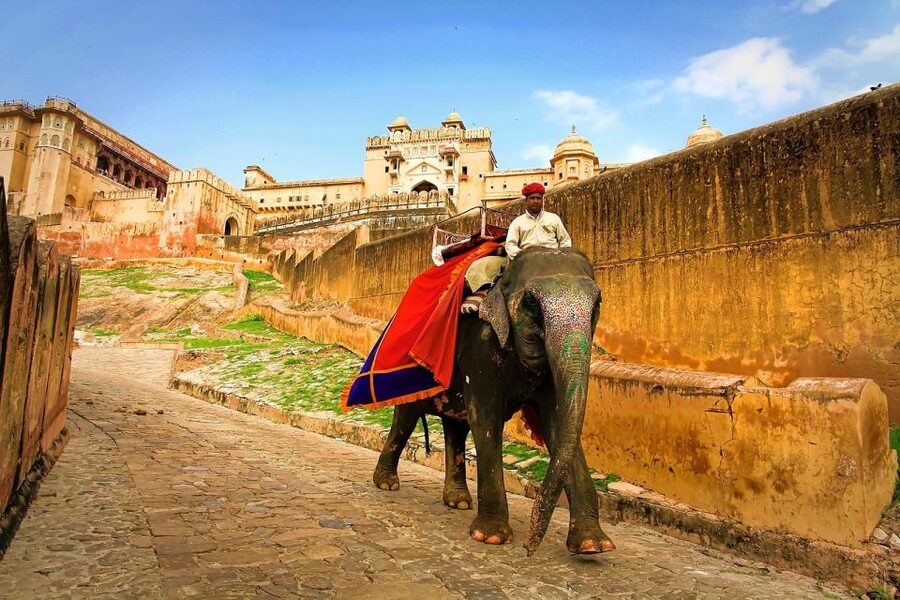 Jaipur: Private Full-Day City Tour by Tuk-Tuk or Car - Why a private Jaipur day works well