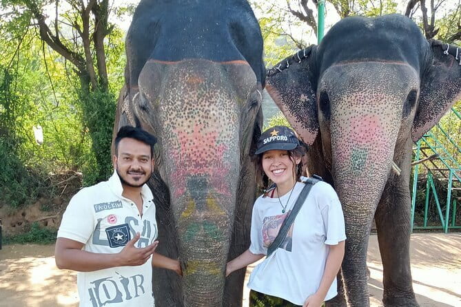 Jaipur Tuktuk Local Sightseeing Day Tour - City Palace: courtyards, gardens, and royal design