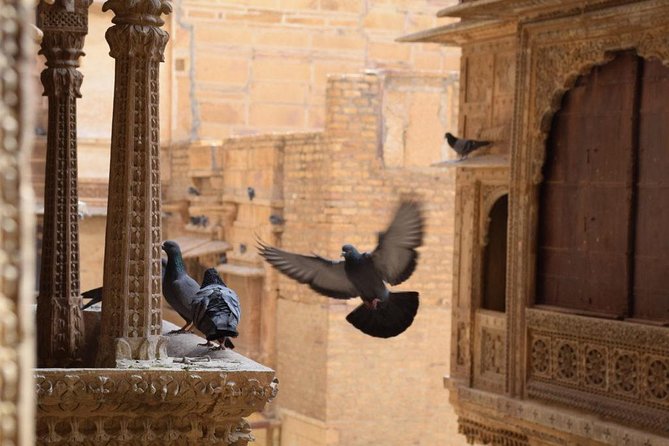 Jaisalmer Tuk-Tuk Private Full Day Tour with Pick-up - Ninety minutes inside Jaisalmer Fort