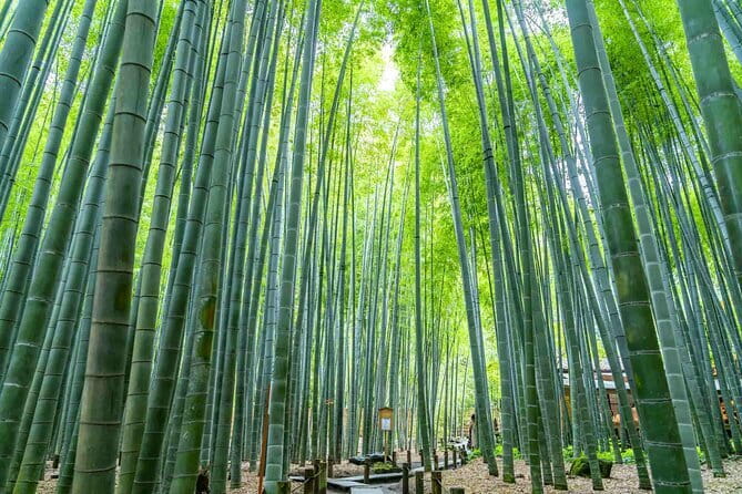 Kamakura Heritage Bike or Walk Tour with ex-Rickshaw guide - Why a private Kamakura tour can make sense
