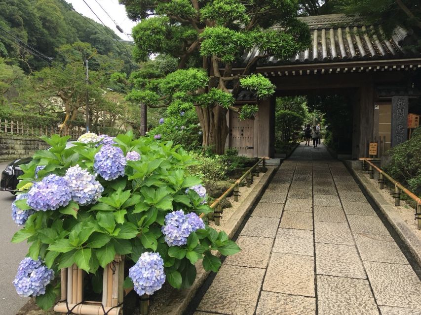Kamakura: Private History and Heritage Tour by Rickshaw - The 45-minute town-center route