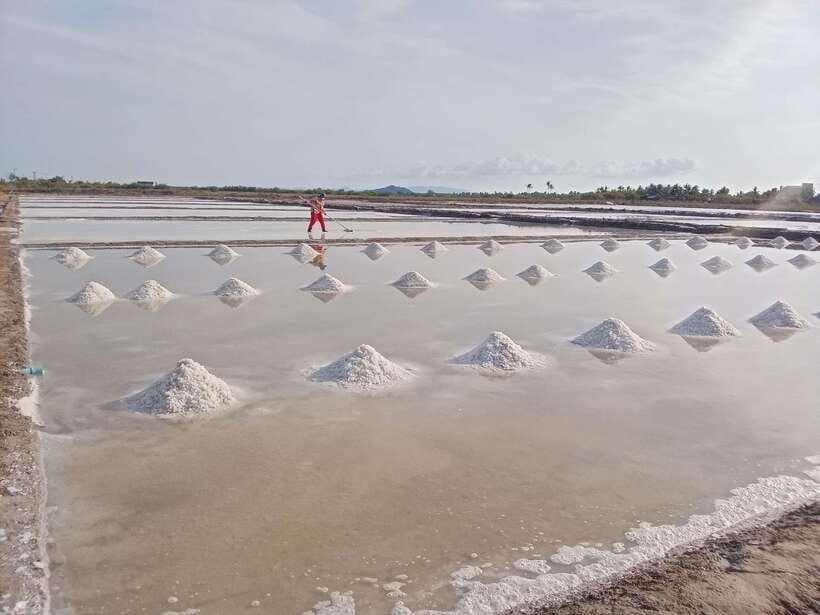 Kampot: Tuk Tuk Trip to Pepper Farm, Kep, Crab Market & More - Is $25 good value?