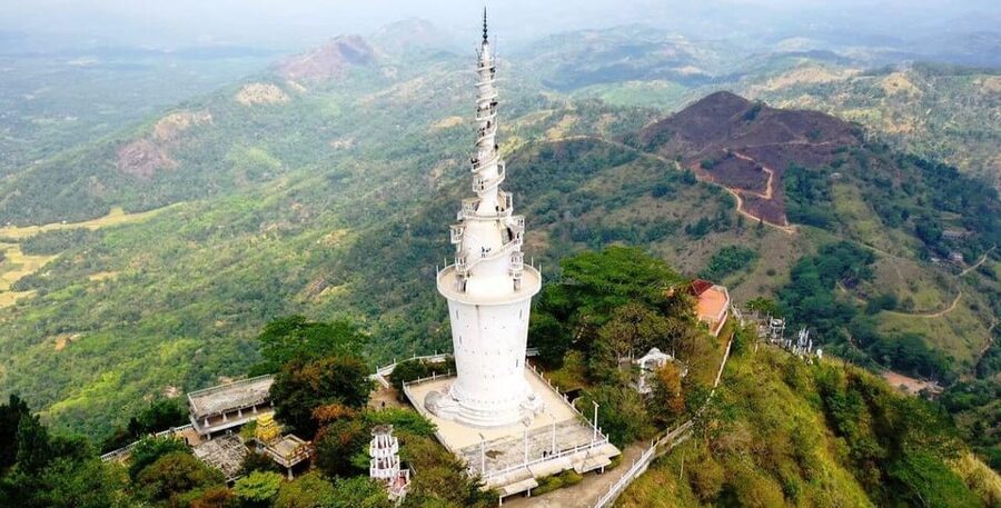 Kandy: Ambuluwawa Day Tour by TukTuk with Local Guide - Peradeniya Royal Botanic Gardens and its plant collection