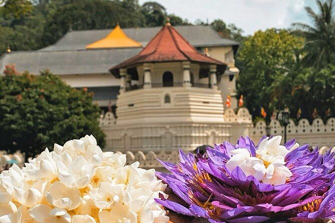 Kandy City Sightseeing and Ambuluwawa Tower by Tuk Tuk Tour - What the driver adds to the experience