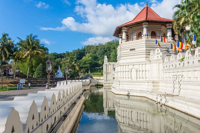 Kandy City Sightseeing and Ambuluwawa Tower by Tuk Tuk Tour - Who should book this Kandy day?
