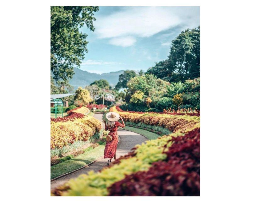 Kandy: City Tuk-Tuk Day Tours with a Local Guide - Tea, spices, and local craft workshops