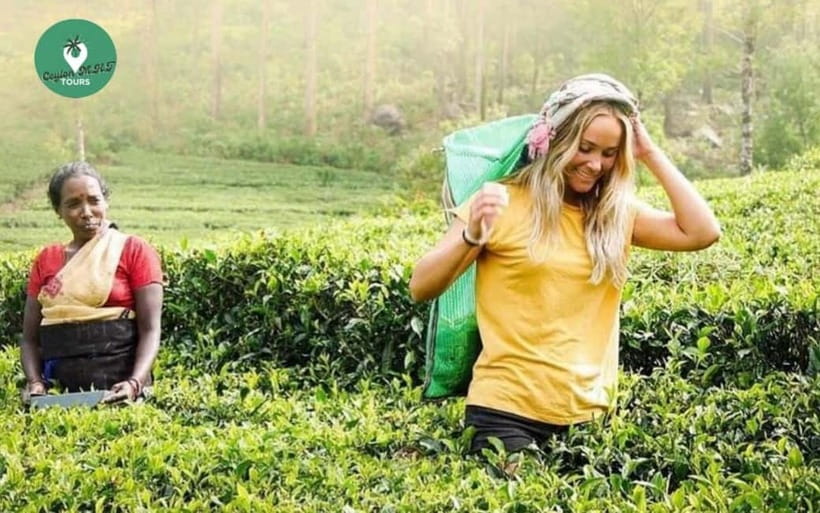 Kandy: Nuwara Eliya Day Explore by Tuk tuk with Local Guide - Why this Kandy to Nuwara Eliya trip works