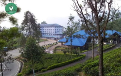 Nuwara Eliya Day Explore by Tuk tuk with Local Guide