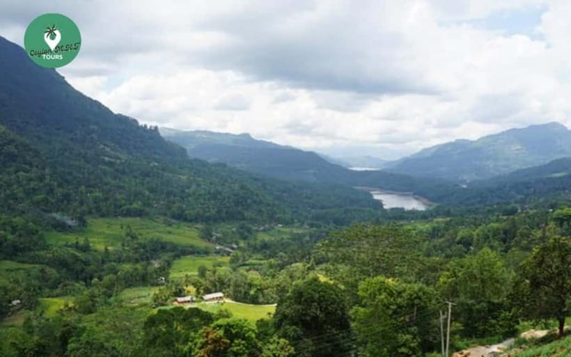 Kandy: Nuwara Eliya Day Explore by Tuk tuk with Local Guide - Blue Field Tea Factory and the nearby plantations