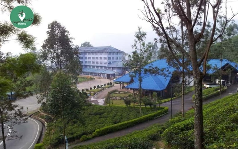 Kandy: Nuwara Eliya Day Explore by Tuk tuk with Local Guide - The 8 a.m. departure from Kandy