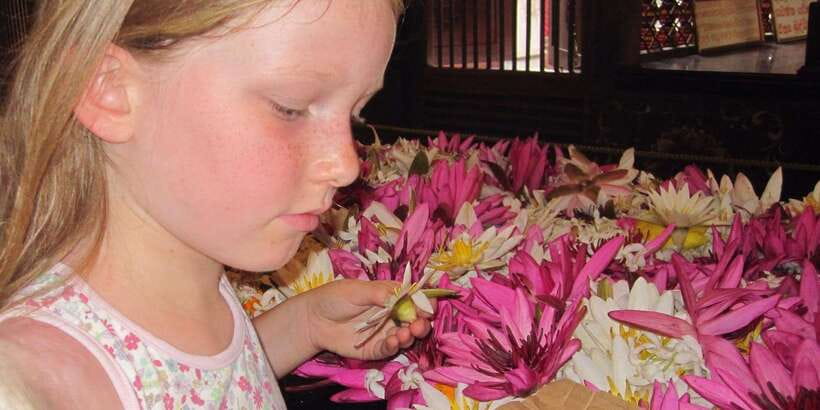 Kandy: Private Guided City Tours by Tuk Tuk Sightseeing Tour - Kandy Cultural Show: a lively finish