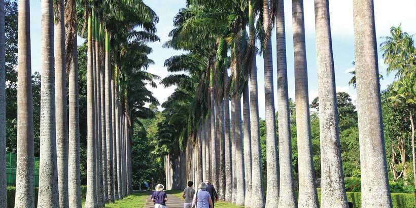 Kandy: Private Guided City Tours by Tuk Tuk Sightseeing Tour - Lunch near Kandy Fruits Market
