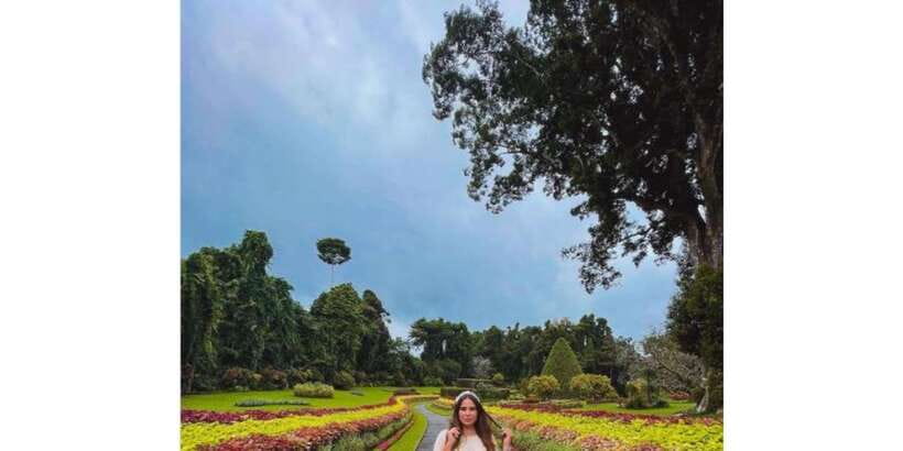 Kandy: Private Guided City Tours by Tuk Tuk Sightseeing Tour - Tea tasting and a local tea factory